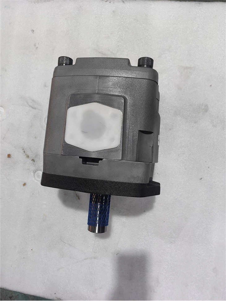 Nachi IPH Series IPH-6B-80-11 IPH-6B-100-11 IPH-6B-125-11 IPH-2B-8-11 IPH-6B-125-1 High-pressure Hydraulic Gear Pump Oil Pump